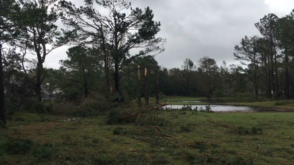 The tornado touched down on the north side of Porters Neck Road between Porters Neck Road and Tibbys Drive. (Source: WECT)