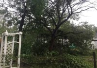 HURRICANE FLORENCE: Storms kills 3, downs trees and powerlines across region