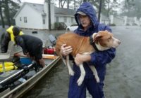 IRS warns of scams related to Hurricane Florence