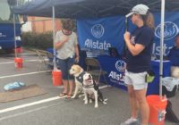 At such a devastating time for Florence victims, therapy dogs are ready to lend a paw