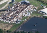 ‘A lot of uncertainty’; NC sweet potato farmers anxious about what Florence did to this year’s crop