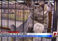 She was arrested after trying to help pets during Florence. The charges have been dropped.