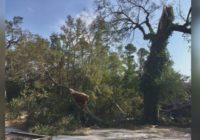 Airlie Gardens, Arboretum, Cape Fear Museum closed due to storm damage