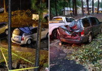 Trees toppled across Charlotte area as Florence…