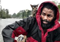 Kitten clings for life as man awaits rescue from Florence. The cat’s name says it all.