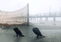 ‘It’s very disturbing.’ Hurricane Florence evacuees worry about impact on the NC coast.