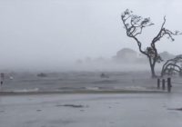 Florence already drops record rainfall. Here are some of the numbers from NC, SC