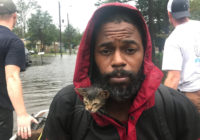 ‘Iconic’: Photo of man and his kitten evacuating Florence leaves people ‘in tears’