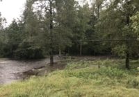 See the Cape Fear River swell with rainwater after Hurricane Florence, will likely cause flooding downstream