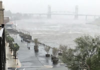 Florence topples trees in Wilmington