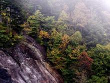 Grandfather Mountain