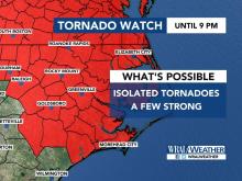 Tornado watch Tropical Storm Michael