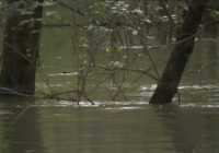 Residents near Trinity River told to evacuate