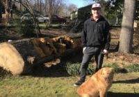 Chainsaw turns Hurricane Michael debris into work of art in Raleigh neighborhood