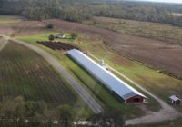 Hurricane Florence killed millions of chickens and turkeys. Now farmers are putting them to use.