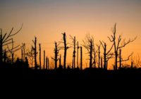 Gov sees Alabama tornado rubble as residents seek to recover