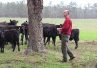 Pender farmers still struggling after Florence