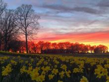 Sunset at Dorothea dix