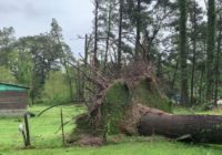 NWS confirms tornado touched down in Montgomery County Sunday