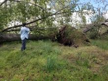 possible tornado damage on ringwood road