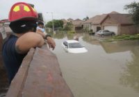 Tips on how to save yourself, your kids, and your pets if caught in flooding