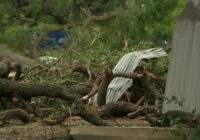 Tornado rips through 2.5 miles of Fayette County