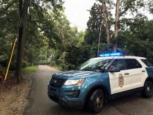 Tree down on power lines in Raleigh