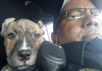 Florida officer rescues puppy ahead of Hurricane Dorian, names her 'Dory'