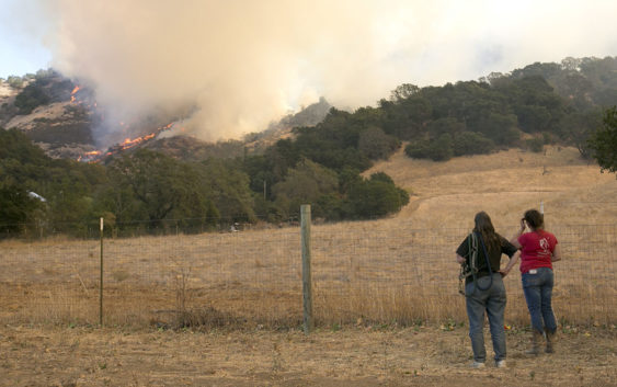 How To Prepare For A Wildfire Evacuation Weather Preppers