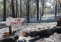 New Electric Grid Monitoring System Developed At Texas A&M Can Prevent Wildfires Caused By Power Lines