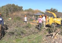 Williamson Co. starts defensible space work in Georgetown to prevent wildfires