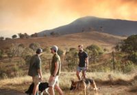 Wildfire threatens homes on Australian capital's outskirts