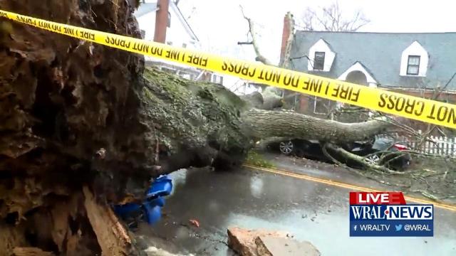 Tree down on Brooks Avenue in Raleigh