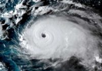 Warm Gulf, lack of El Nino mean active hurricane season, experts predict