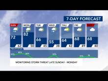 7-Day Forecast