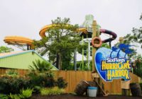 Six Flags Hurricane Harbor Splashtown is set to reopen June 29