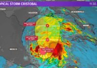 Houston Forecast: Tropical Storm Cristobal has formed in the Gulf