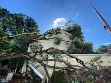 This home in Cary was hit by a large tree that fell over during Tropical Storm Isaias