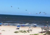 Padre Island National Seashore set to reopen Thursday after cleaning up from Hurricane Hanna