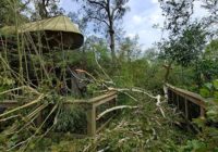 San Antonio Zoo Joins Recovery Effort at Louisiana Zoo Damaged by Hurricane Laura