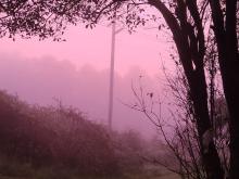 pink tinted fog this morning near spring forest rd