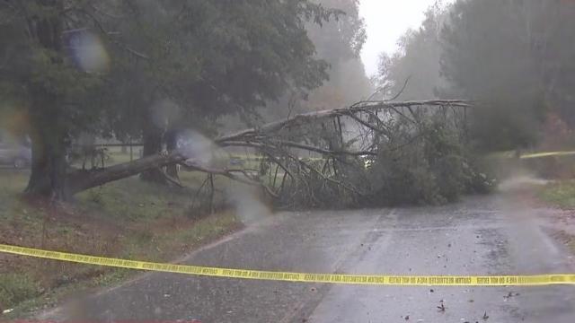 Trees have fallen in some places in the Triangle