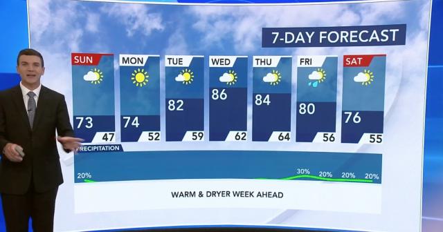 7-day forecast 