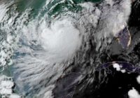 Scientists predict 'above average' hurricane season in 2021