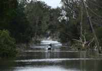 TikToks show disastrous chaos Hurricane Ida caused in Louisiana