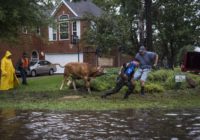 What Texas residents need know about Tropical Storm Nicholas