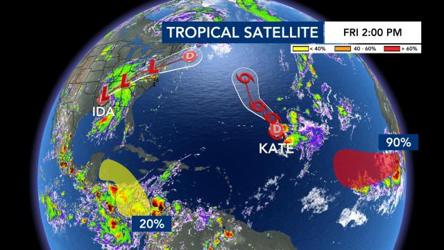 Tropical satellite image