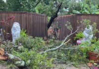 The first thing you should do if your home is damaged by severe weather