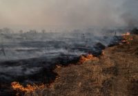 Texas A&M Forest Service provides tips to help prevent wildfires in hunting season