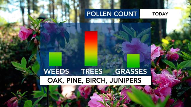 Pollen Count